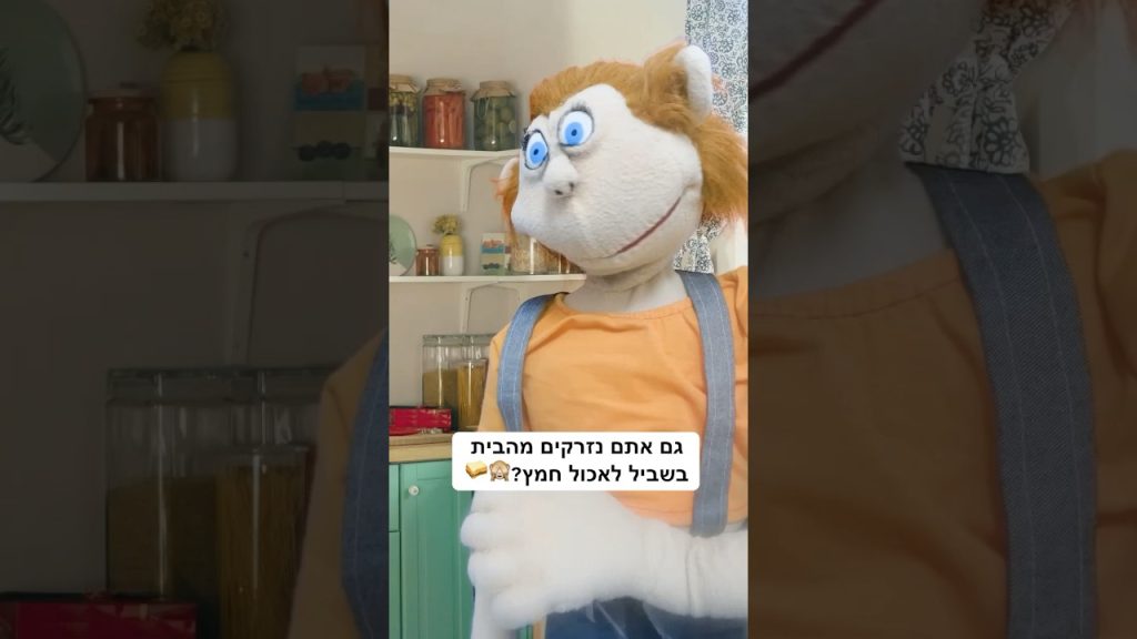 אין חמץ בתריסים! תסבירו לסבתא