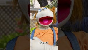 זה לא הכדור הזה 😂