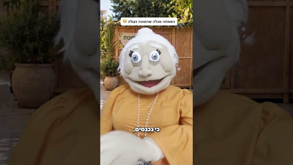 סוכה לצפייה בלבד 🤣